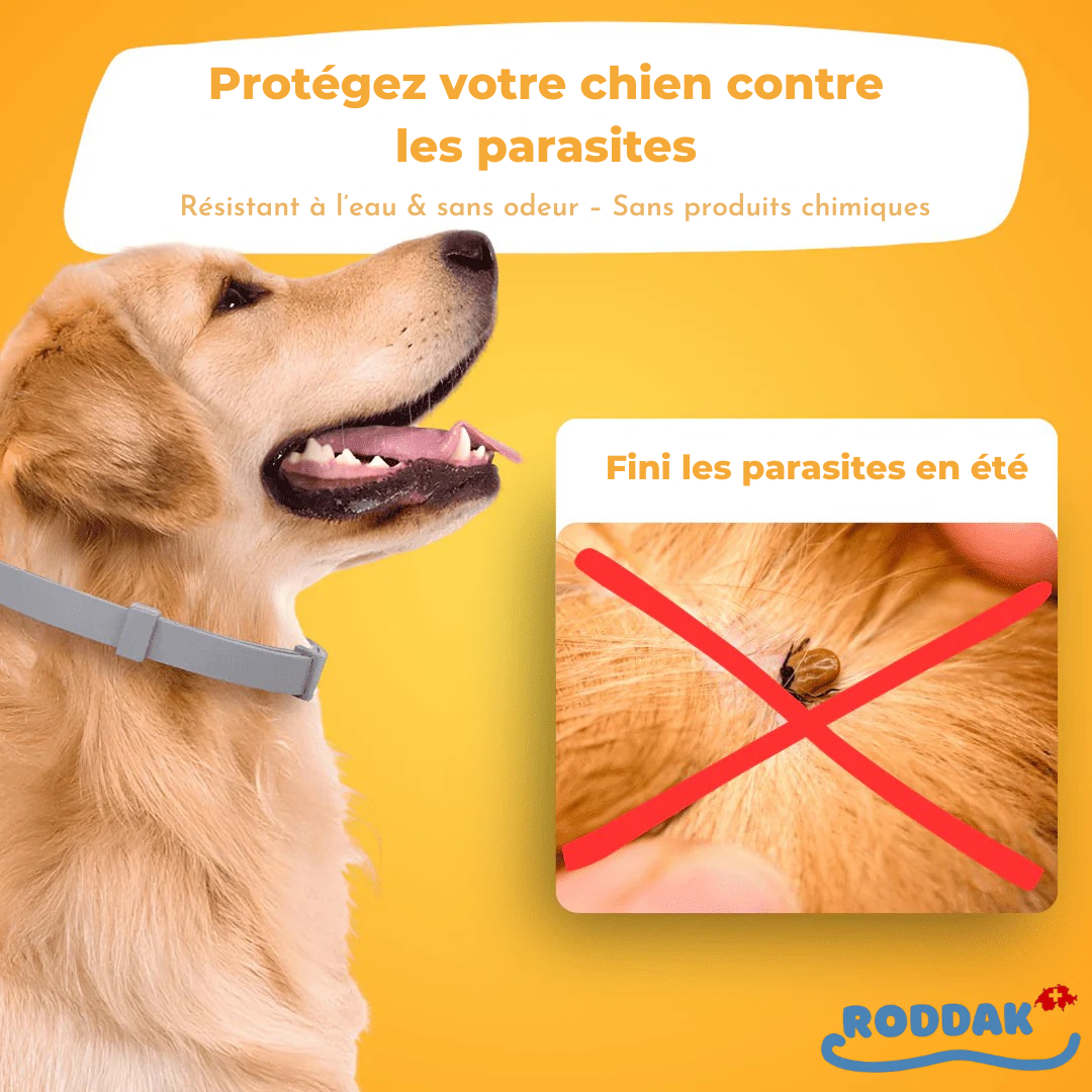 Roddaks Anti-Zecken-Halsband | 2025