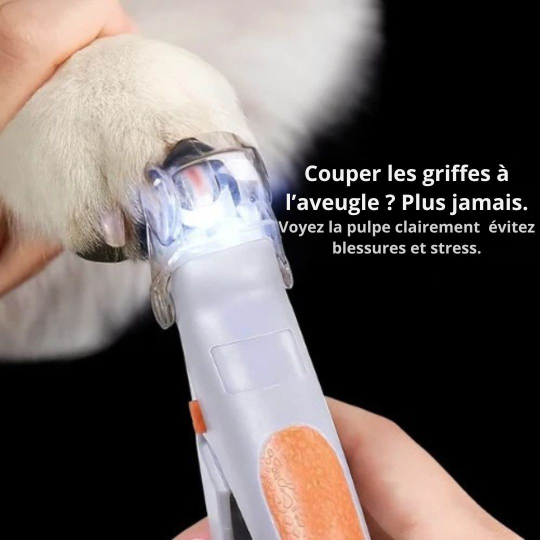 Coupe-Griffes LED Sécurisé – Sans Stress ni Risque