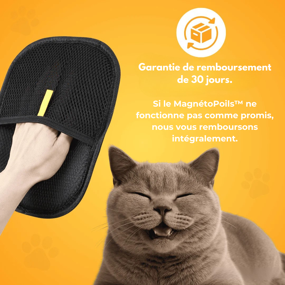 MagnetoPoils™