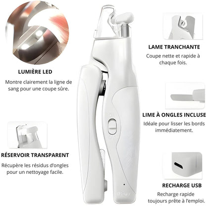 Coupe-Griffes LED Sécurisé – Sans Stress ni Risque