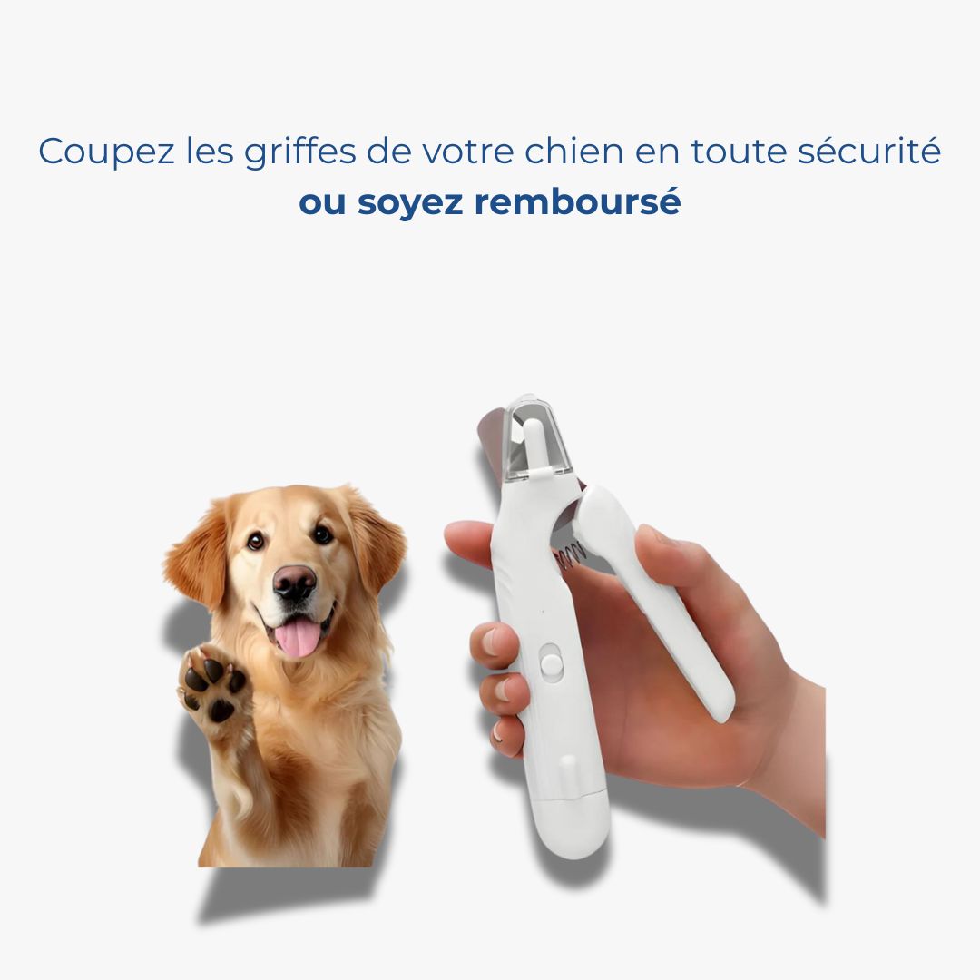 Coupe-Griffes LED Sécurisé – Sans Stress ni Risque