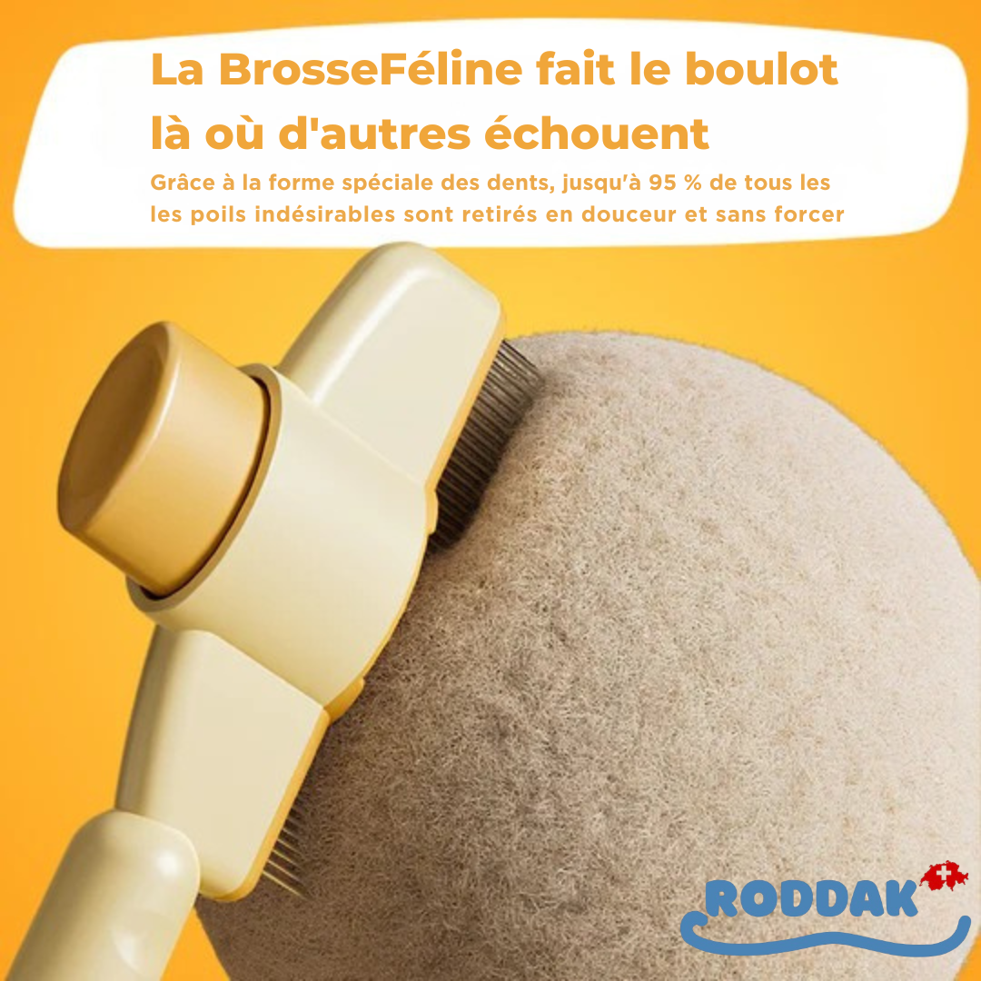 BrosseFéline